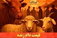 دام زنده امروز چند؟ / نوسان قیمت‌ها در بازارهای استانی