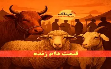دام زنده امروز چند؟ / نوسان قیمت‌ها در بازارهای استانی