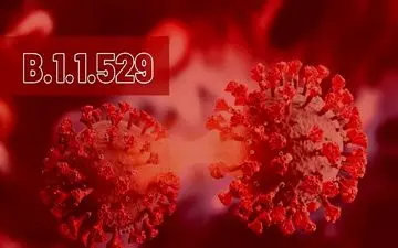 چرا سویه کرونا خطرناک است؟