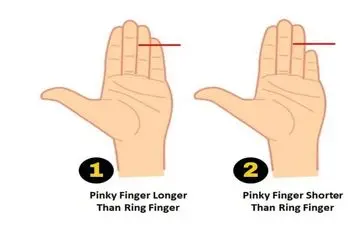 رازهای نهفته در انگشت کوچک شما! دریچه‌ای به سوی شخصیتتان