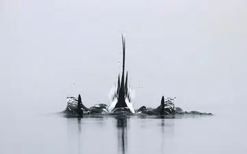  عکس منتخب نشنال جئوگرافیک | دم در هوا