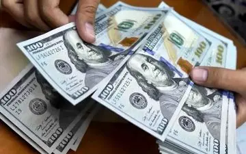 بازگشت ارز سهمیه‌ای / به هر ایرانی ۱۰۰۰ یورو ارز دولتی تعلق می‌گیرد + شرایط