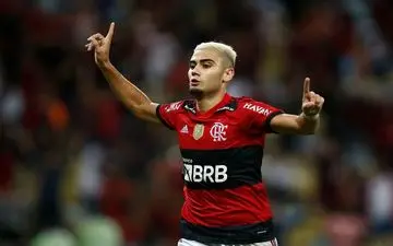 خبر بد برای تن‌هاخ؛ فلامنگو پریرا را نمی‌دهد