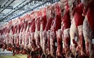 کشف تعجب برانگیز در سردخانه ستارخان تهران + جزییات