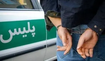 شرور سابقه‌ دار در شهرستان دیر دستگیر شد