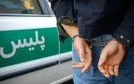 شرور سابقه‌ دار در شهرستان دیر دستگیر شد