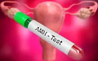 آزمایشAMH چیست؟| مقدار نرمال amh برای بارداری چند است؟