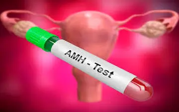 آزمایشAMH چیست؟| مقدار نرمال amh برای بارداری چند است؟