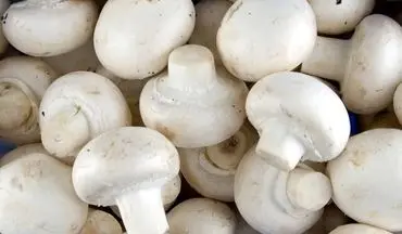 قارچ‌های سفید خوراکی، ابزاری قدرتمند در سرکوب سرطان پروستات