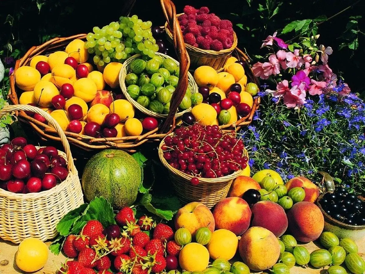  با میوه‌های تابستانی چربی های اضافی را آب کنید/ آب هندوانه؛ مکمل لاغری!