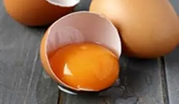 چند تخم مرغ در روز می شود خورد؟
