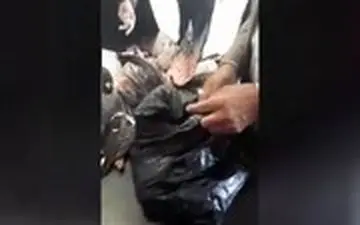 قاچاق مسافری پرنده‌های بینوا در مرز شلمچه