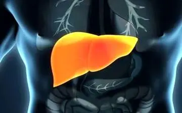 میدانید کبد چطور چرب می شود؟