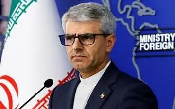  بقائی: ویتکاف به دلیل برنامه پروازی محل مذاکره را ترک کرد 