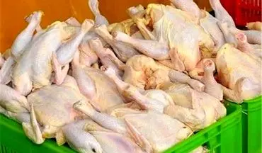 قیمت واقعی گوشت مرغ برای مصرف‌کنندگان باید ۲۷ هزار و ۵۰۰ تومان باشد

