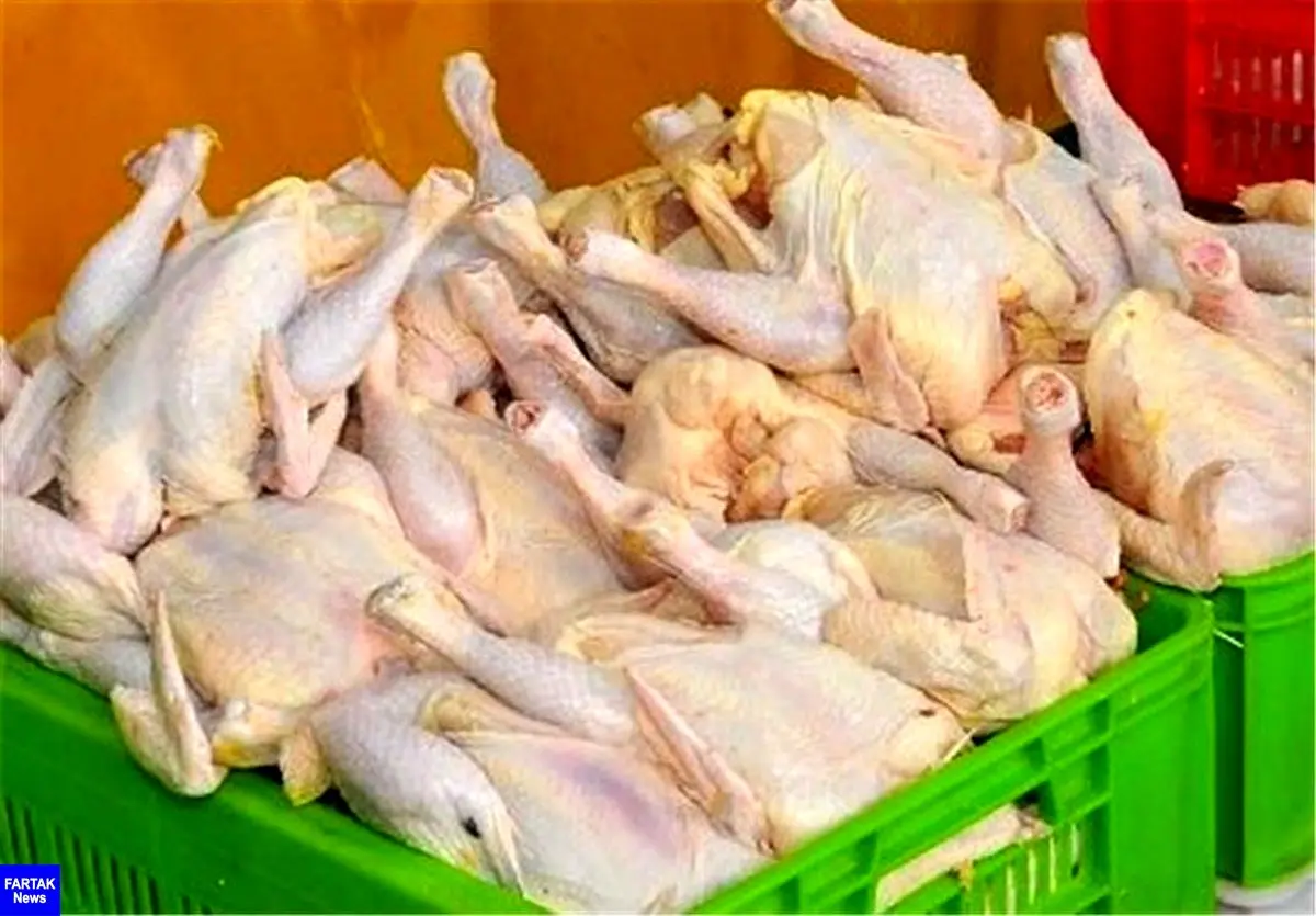 قیمت واقعی گوشت مرغ برای مصرف‌کنندگان باید ۲۷ هزار و ۵۰۰ تومان باشد
