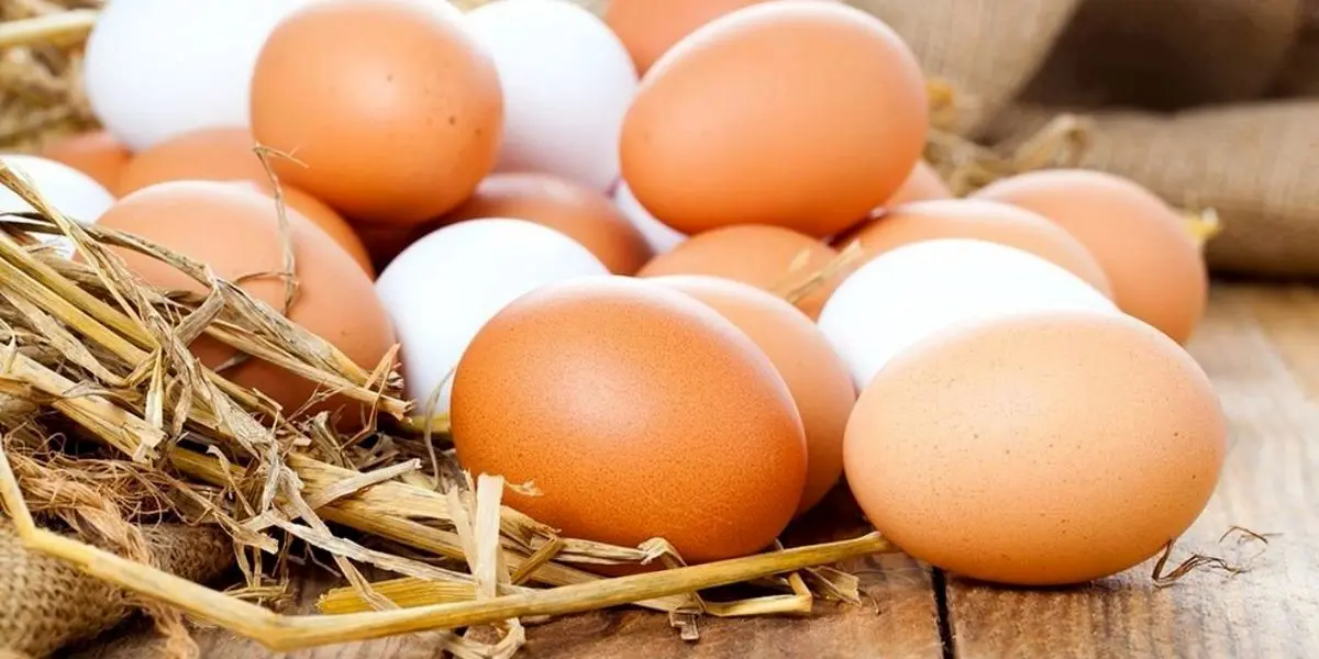 تخم‌ مرغ دانه‌ای چند شد؟