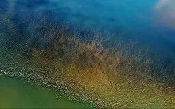  عکس منتخب نشنال جئوگرافیک | فلامینگوهای مهاجر