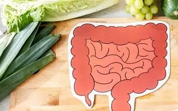 با رعایت این نکات ساده بهداشتی مشکلات گوارشی را شکست دهید