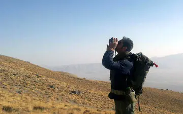 حمله افراد ناشناس به  فرمانده یگان محیط زیست