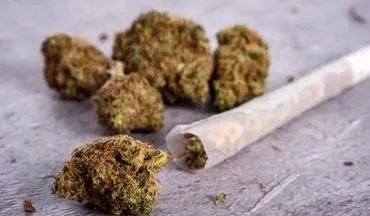 کشف بالغ بر ۱۲ کیلو گرم ماده مخدر حشیش در بندرعباس