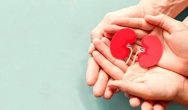 ماءالشعیر برای دفع سنگ کلیه مناسب است؟