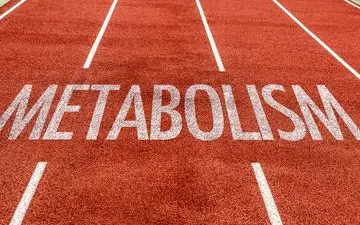 
11 کد موثر برای افزایش سوخت و ساز