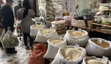 برنج ایرانی را تا ۲ هفته دیگر با این قیمت بخرید