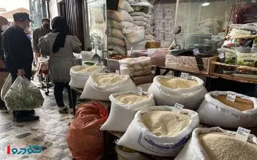 برنج ایرانی را تا ۲ هفته دیگر با این قیمت بخرید