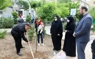 هدیه شهرداری تهران به نوزادان پایتخت 
