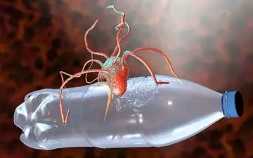 باکتری کشف شده که مواد شیمیایی “همیشگی” PFAS را نابود می‌کند