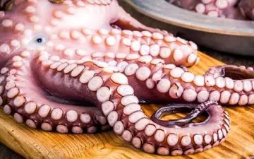 غذاهایی که از مرگ موش هم خطرناکترند!