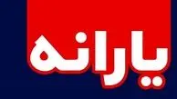  یارانه کدام گروه ۴۸۰ هزار تومان شد؟