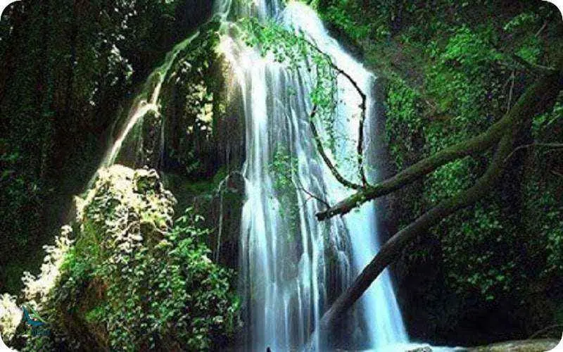 آبشار خزه ای