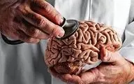 ۳ نیاز اساسی مغز را بشناسید و آنها را برآورده کنید/ اگر برآورد نکنید این بلا سرتان می آید
