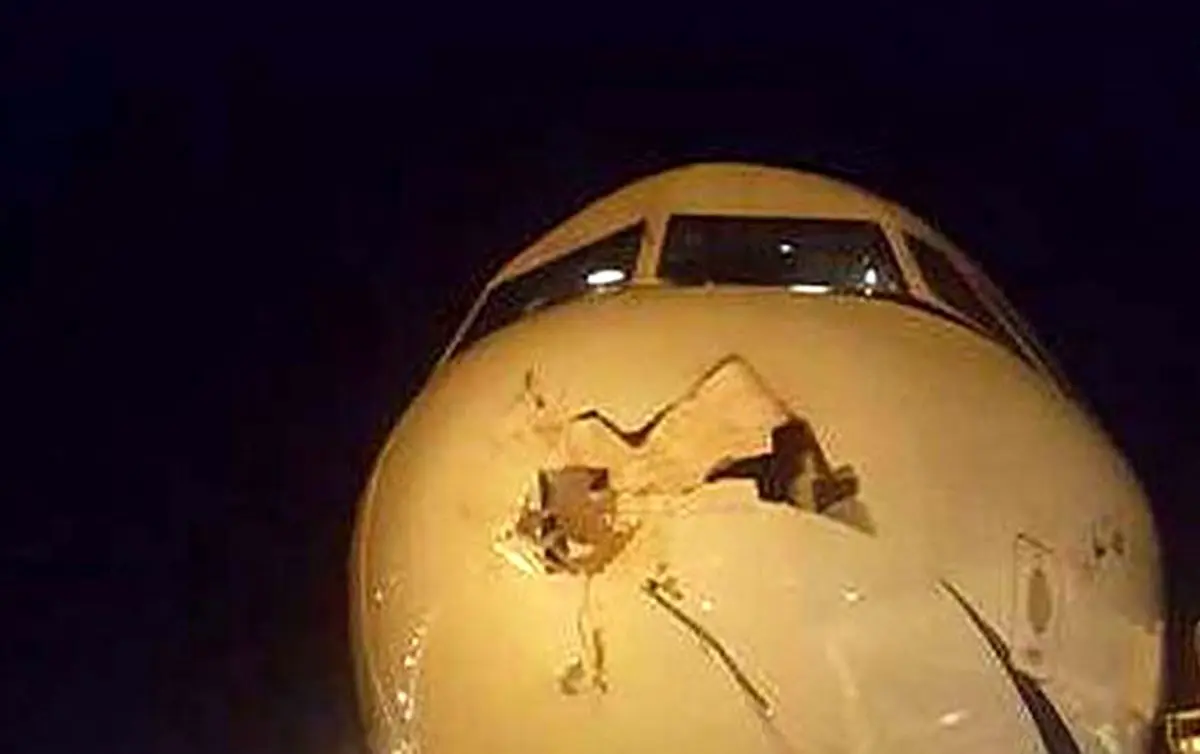 آسیبی که پرنده در اثر برخورد بر سر هواپیما آورد!