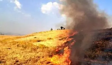 
آتش سوزی در مراتع اشنویه مهار شد
