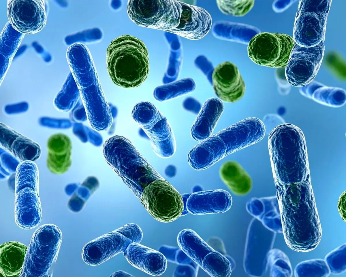 ساخت معجون ویروسی: گام بزرگ دانشمندان برای مقابله با اَبَرباکتری‌ها و همه‌گیری‌های آینده