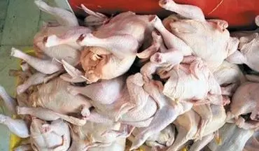  توزیع 30 هزار تن مرغ منجمد 10800 تومانی از فردا