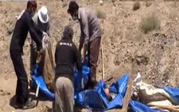 کشف چند گور جمعی در رقه + فیلم 