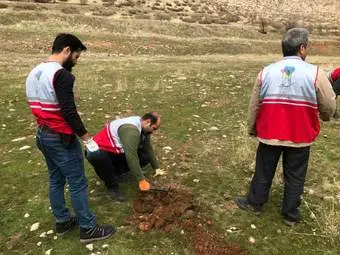 گزارش تصویری کاشت بذر بلوط در دامنه زاگرس توسط سمن های مردم نهاد و موسسه خیریه مهرگان 
