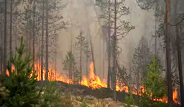 آتش گرفتن جنگل‌های سوئد بر اثر گرمای شدید+فیلم