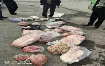 
جمع آوری وامحاء بیش از ۴۰۰ کیلو گوشت و فرآورده خام دامی در بازدید مشترک