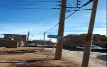 سبز شدن تبر برق در وسط خیابان‌+فیلم