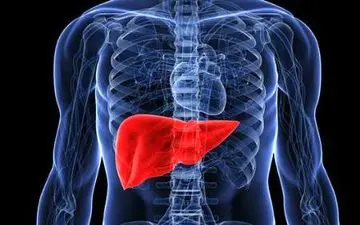  راهکار‌هایی طبیعی برای درمان فوری کبد چرب