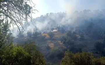حریق شهرستان گیلانغرب پس از ساعتها تلاش مهار شد

