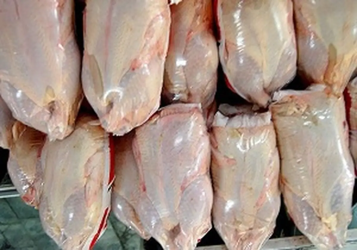 کاهش چشمگیر قیمت مرغ در بازار 