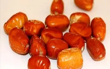  خواص معجره‌آسای پودر "سنجد"/ فوق العاده است