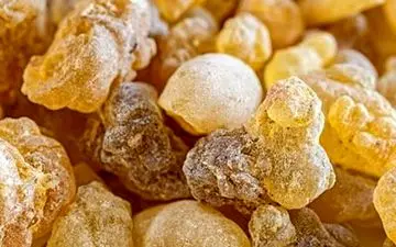 کُندر و رابطه آن در کاهش مشکلات کبدی و کلیوی