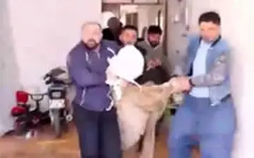 ورود گرگ به یک خانه در بوکان!